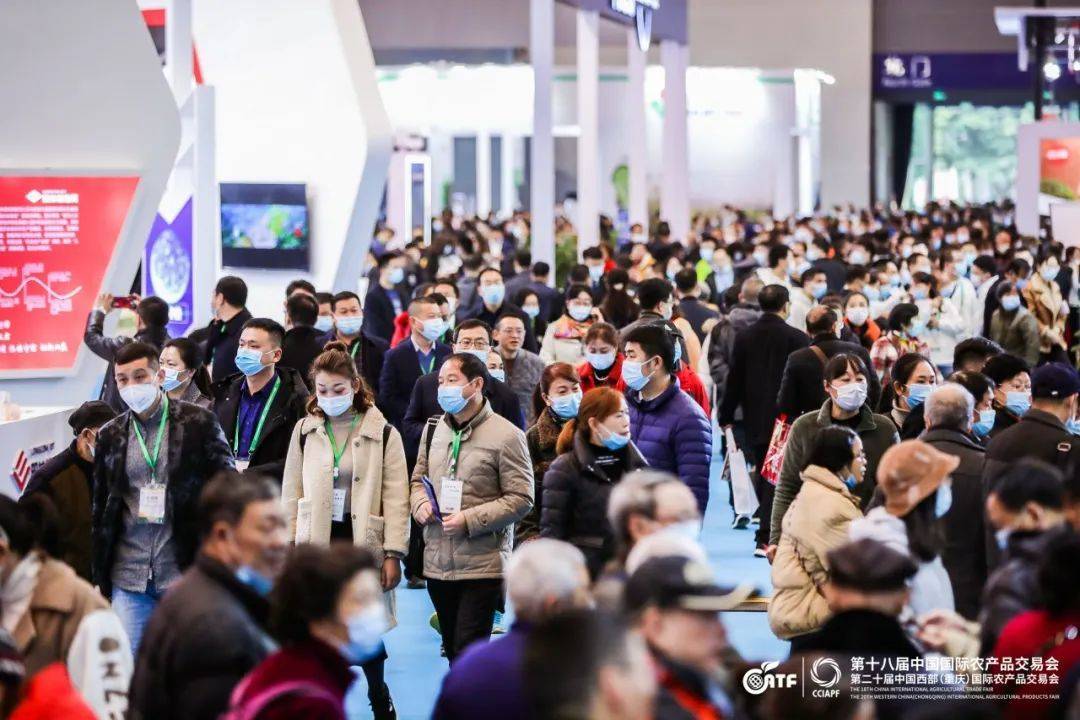 IM电竞 IM电竞平台2022第十九届中国国际农产品交易会(图3)