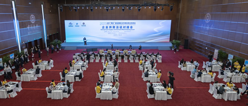 南京厚建软件 LivCMS 内容管理系统http：wwwhogesoftcom 授权用户：http：wwwxichunetIM电竞 IM电竞平台(图2)