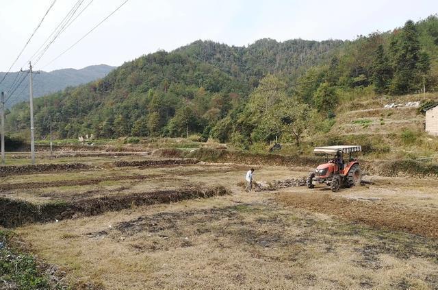 4大措施解决农村大面积撂荒？粮食产量提高农IM电竞 IM电竞app民收益可观！(图5)