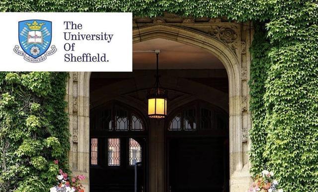 英国哪些大学有IM电竞 IM电竞app国际商务专业？(图1)