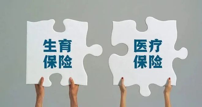 2022年最新IM电竞 IM电竞app版：生育险政策变化与津贴发放标准(图4)