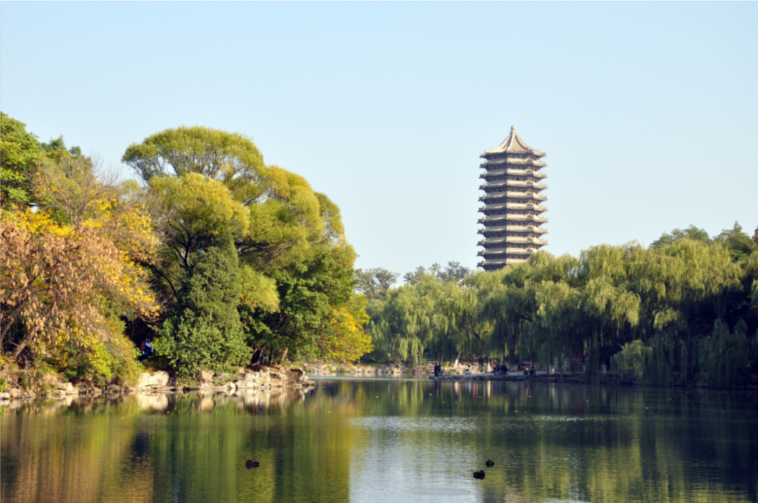 IM电竞 电子竞技平台2022央广网MBA教育峰会：北京大学光华管理学院MBA(图2)