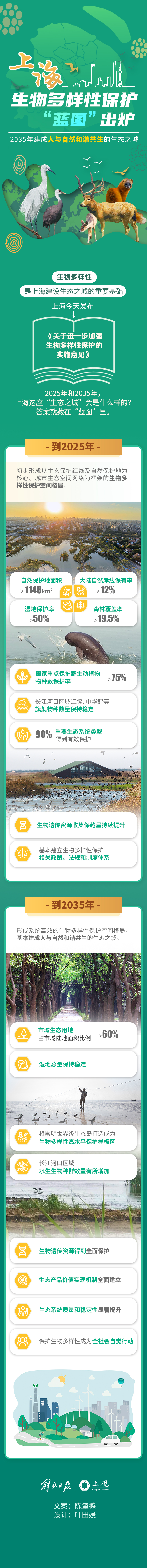2035年上海这座IM电竞 IM电竞平台“生态之城”会是什么样？(图1)