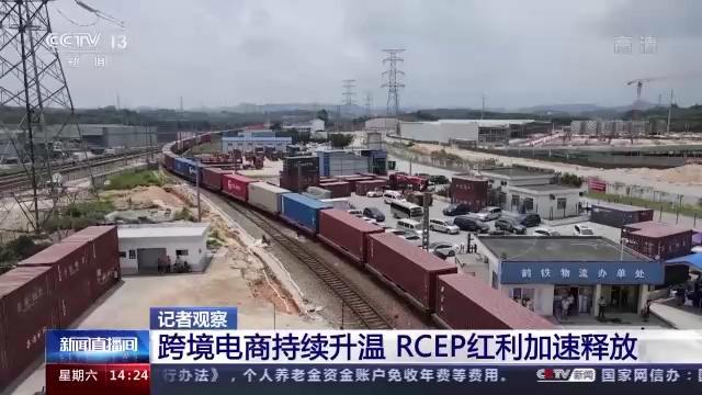 开通新航线、开启新空间 RCEP红利加速IM电竞 IM电竞app释放(图8)