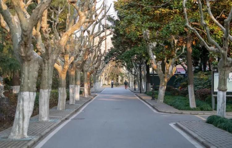 IM电竞 电子竞技平台【最新发布】东华大学2022年国际商务硕士（MIB）招生简章(图4)