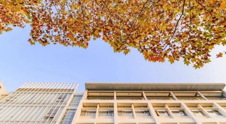 IM电竞 电子竞技平台【最新发布】东华大学2022年国际商务硕士（MIB）招生简章(图7)
