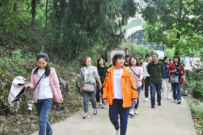 慈利县物业服务行业协会在禾田居山谷开展工会活动IM电竞 电子竞技平台(图3)