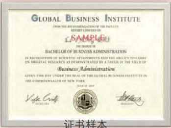 美国环球商学院国际商务硕士项IM电竞 IM电竞平台目(图1)