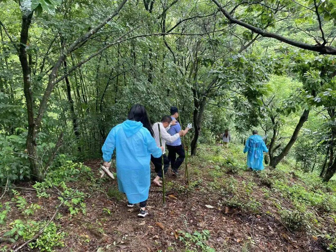 新一轮强降雨来袭IM电竞 电子竞技平台派出所所长送上安防知识→(图3)