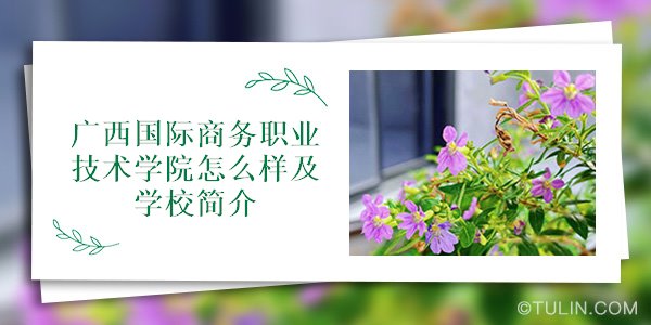 广西国际商务职业技术学院怎么样及学校简介IM电竞 IM电竞app(图1)