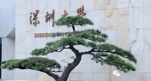 深IM电竞 IM电竞平台圳自考商务管理好不好就业？(图2)