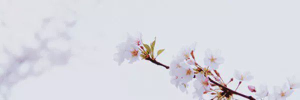 IM电竞 IM电竞平台日本那些奇奇怪怪的“xx协会” 是干什么用的？(图3)