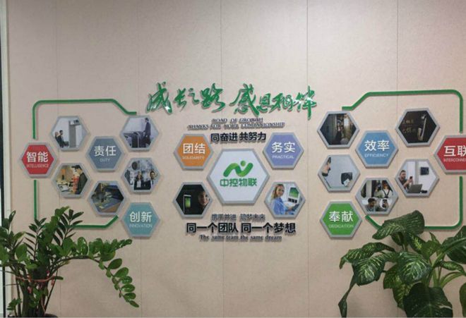 IM电竞 IM电竞平台推动海南智慧安防深度应用中控物联服务企业近千家(图4)