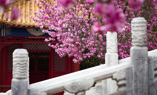IM电竞 IM电竞app中国旅游协会2023年活动月历公布(图2)
