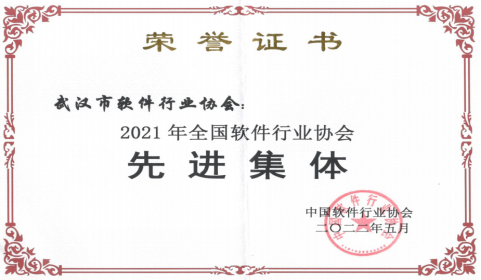 武汉软件20年——庆武汉市软件行业协会IM电竞 IM电竞app成立二十周年(图11)