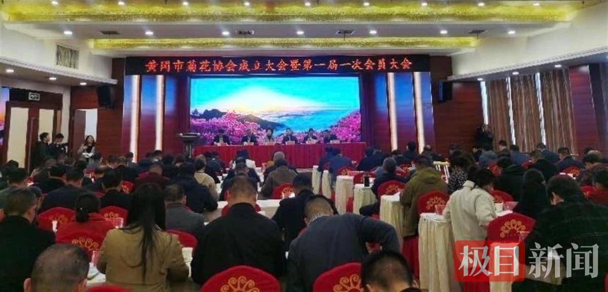 黄冈市菊花协会成立IM电竞 电子竞技平台(图1)