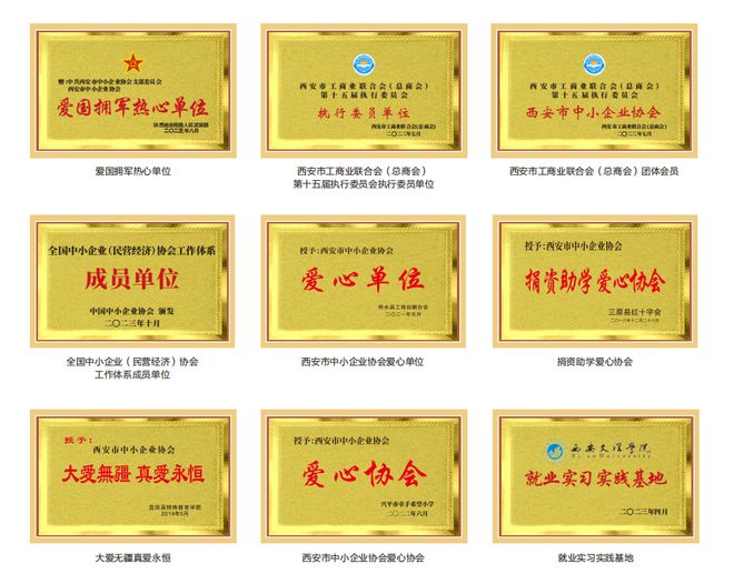 西安市中小企业IM电竞 电子竞技平台协会2024年会员开始招募！(图2)