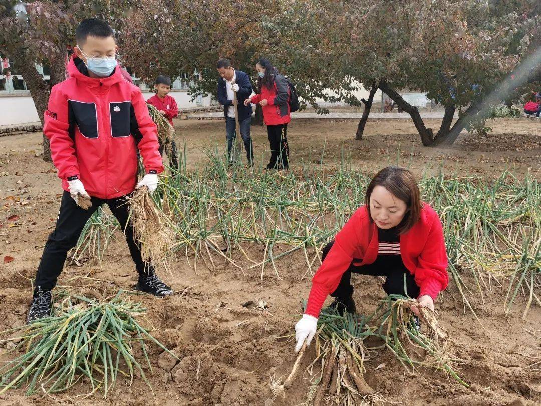 IM电竞 IM电竞app全国扶贫日｜义工协会持续开展“直播带货、助农增收”消费扶贫助力脱贫攻坚系列活动二十四(图3)