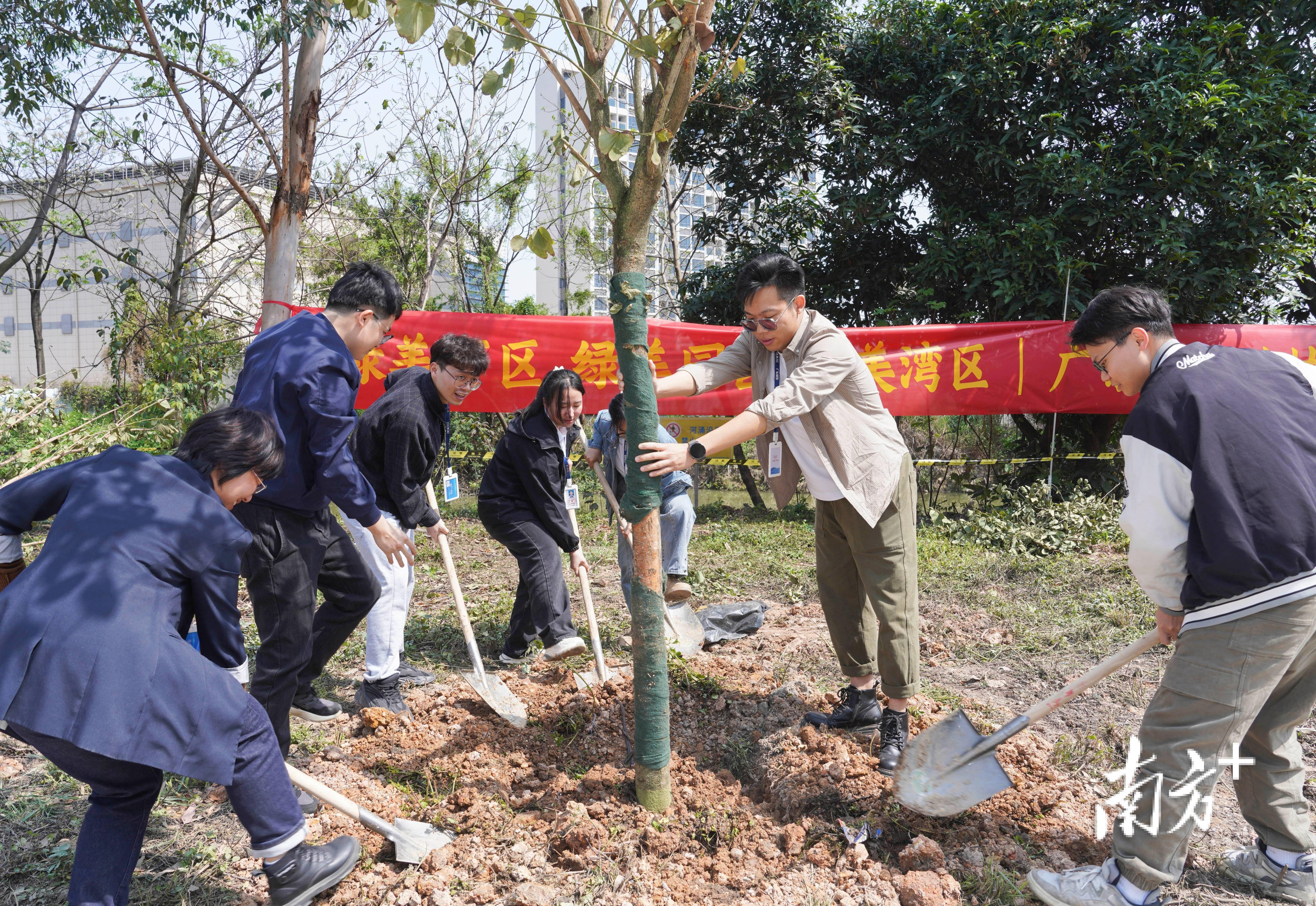 快来参与！广东省行业协会商会2024年公益植树IM电竞 IM电竞平台活动启动(图3)