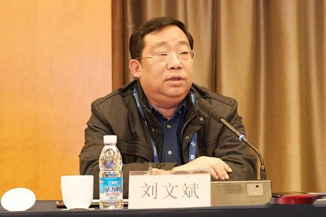 中国各体育协会主席简介一览IM电竞 IM电竞app(图5)