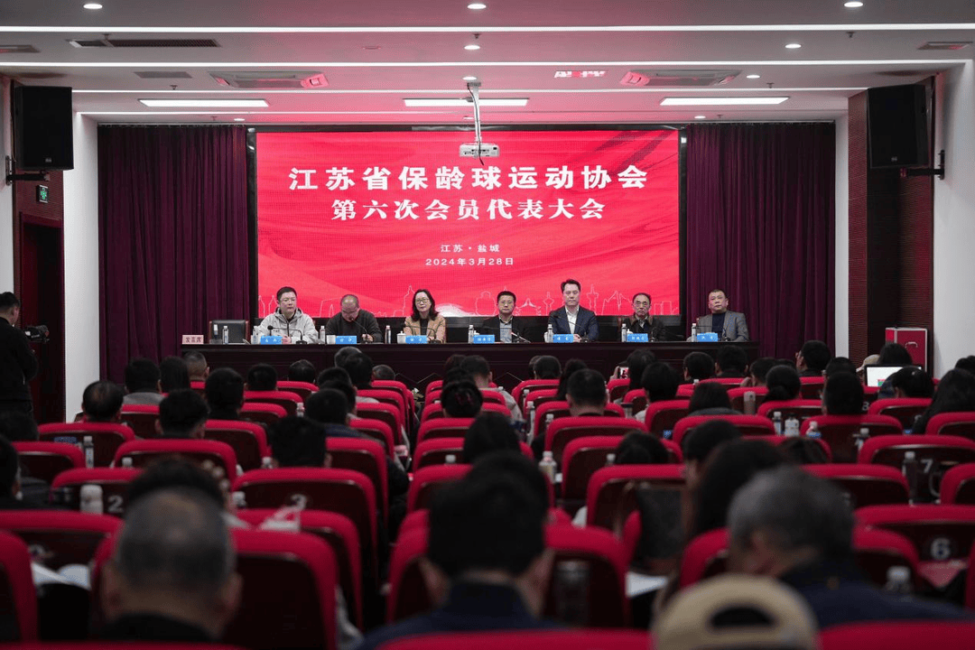 IM电竞 IM电竞平台江苏省保龄球运动协会第六次会员代表大会在盐城召开(图1)