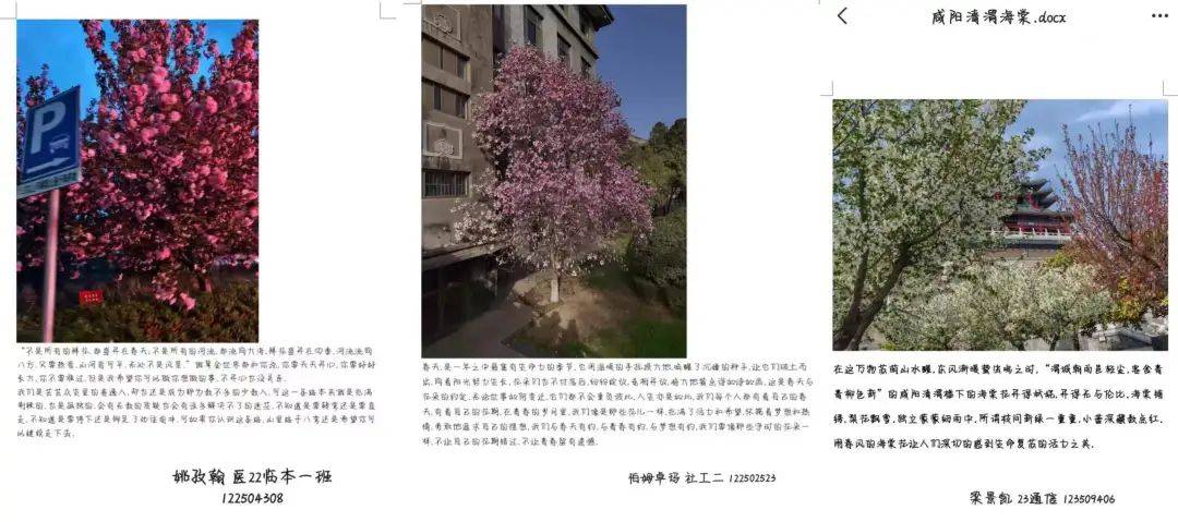 IM电竞 IM电竞app西族大学青年志愿者协会工作动态（第五周）(图5)