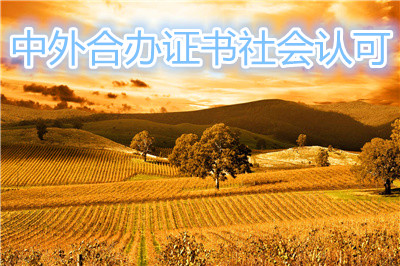 IM电竞 电子竞技平台中外合作办学取得的证书受社会认可吗？(图1)