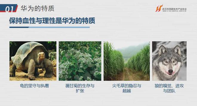 揭秘华为成功内在基因！协会“助企讲座”第八站走进武汉安域IM电竞 IM电竞app(图3)