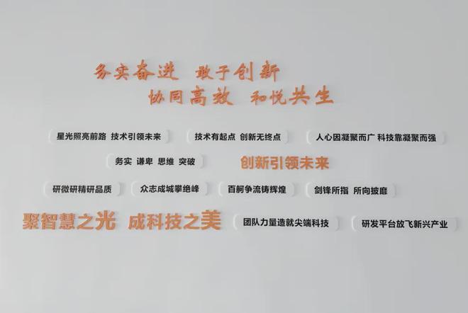 IM电竞 IM电竞app华为文化为何是高绩效文化？协会“助企讲座”第七站走进红星杨(图49)