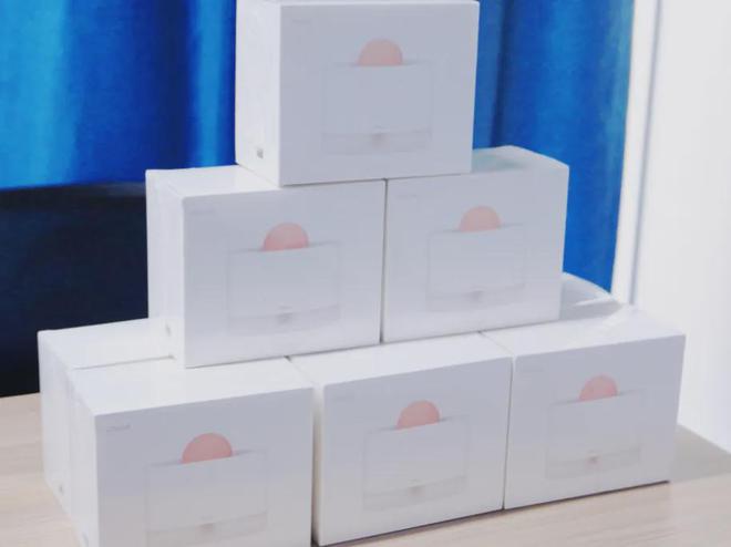 IM电竞 IM电竞app华为文化为何是高绩效文化？协会“助企讲座”第七站走进红星杨(图1)