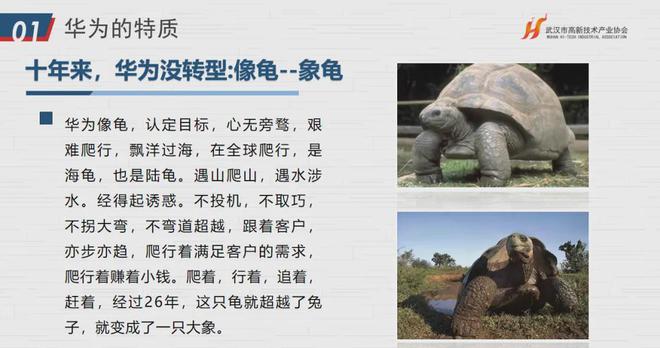 IM电竞 IM电竞app华为文化为何是高绩效文化？协会“助企讲座”第七站走进红星杨(图16)