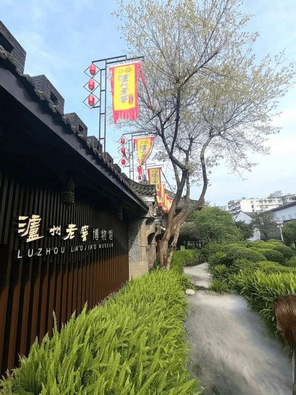 IM电竞 电子竞技平台联盟活动｜重庆友好商协会建共建活动在泸州举行(图2)