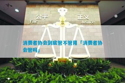 消费者协会到底管不管用「消费者协会管IM电竞 IM电竞平台吗」(图1)