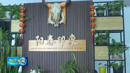 建引领促发IM电竞 IM电竞平台展 阳春电商协会开辟“直播兴农”新赛道(图1)