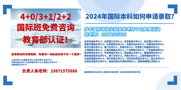 中央财IM电竞 IM电竞app经大学国际本科专业(图1)